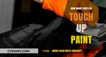Mastering Touch-Up Paint: How Many Coats Are Really Needed?