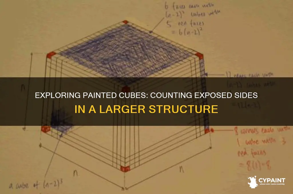 Exploring Painted Cubes: Counting Exposed Sides In A Larger Structure ...