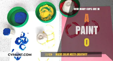 Understanding Paint Quantities: How Many Cups in a Paint Can?
