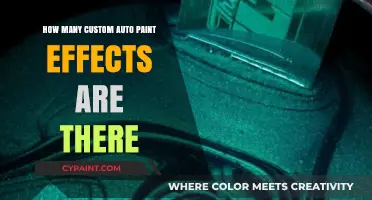 Exploring the Diverse World of Custom Auto Paint Effects