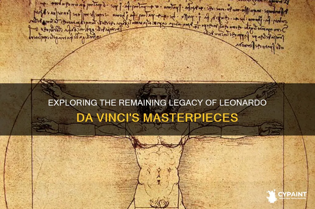 how many da vinci paintings are left