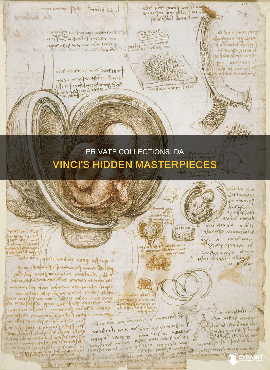 how many davinci paintings are there in private collecions