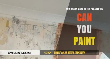 Painting After Plastering: A Comprehensive Guide to Timing and Preparation