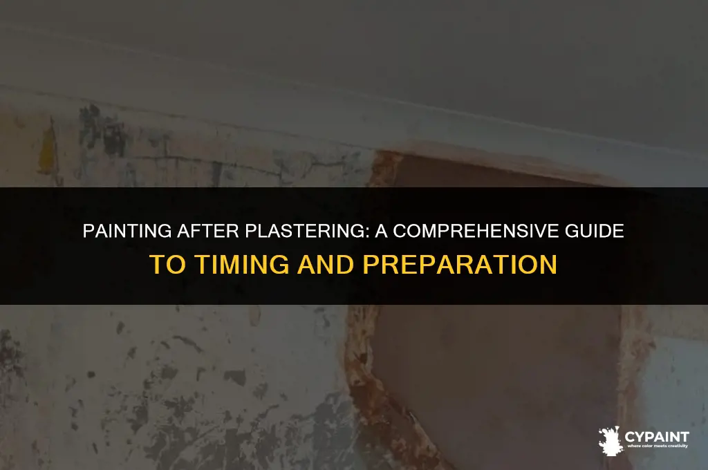 how many days after plastering can you paint