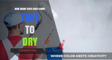 Understanding Paint Drying Time: Factors Affecting Cure Duration and Tips