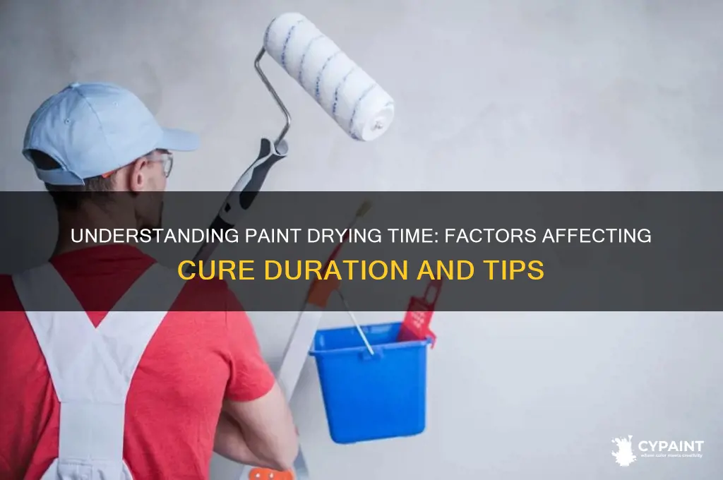 how many days does paint take to dry