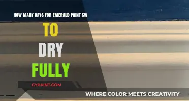 Emerald Paint SW Drying Time: Full Cure Duration Explained