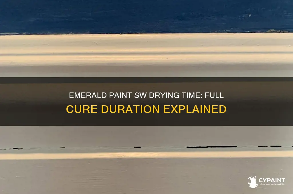 how many days for emerald paint sw to dry fully