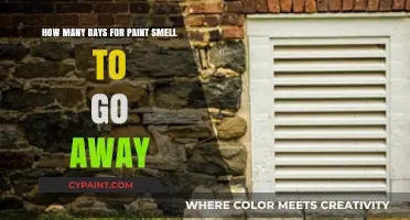 Paint Smell Persistence: How Long Does it Last?