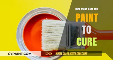 Understanding Paint Curing Time: Factors Affecting Full Hardness and Durability