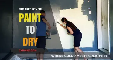 Understanding Paint Drying Time: Factors Affecting Cure Duration