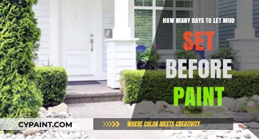 Letting Mud Set: How Long Before Painting?
