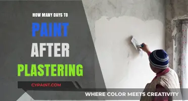 Perfect Timing: Painting After Plastering – How Many Days to Wait?