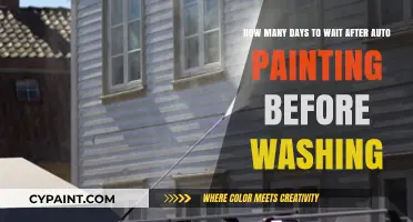 Post-Auto Painting Care: Optimal Waiting Period Before Washing Your Vehicle