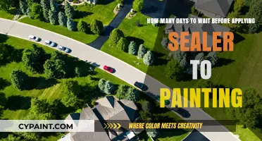 Perfect Timing: When to Apply Sealer to Your Painting for Best Results