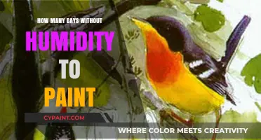 Ideal Dry Days: How Long to Wait Before Painting Without Humidity