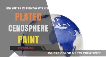 Silver Plated Cenosphere Paint: dB Reduction Potential Explored