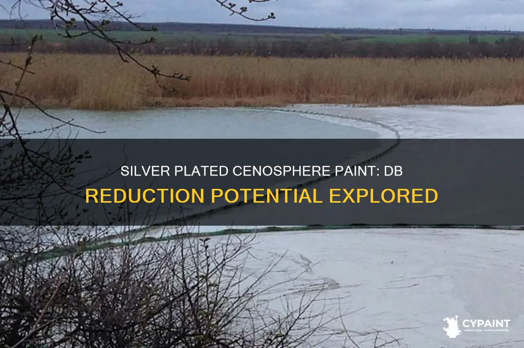 how many db rcs reduction with silver plated cenosphere paint