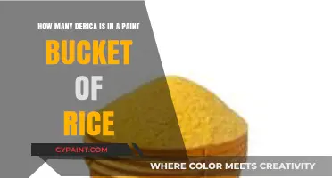 Derica to Paint Bucket: Measuring Rice Quantities Accurately