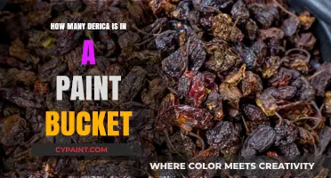 Derica to Paint Bucket Conversion: Understanding Measurements Easily