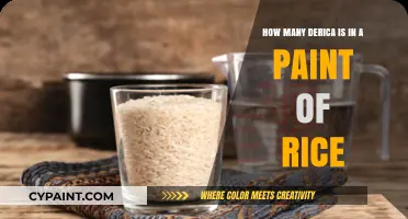 Derica Measure: How Much Rice is in a Paint Bucket?