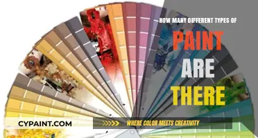 Exploring the Diverse World of Paint Types and Varieties