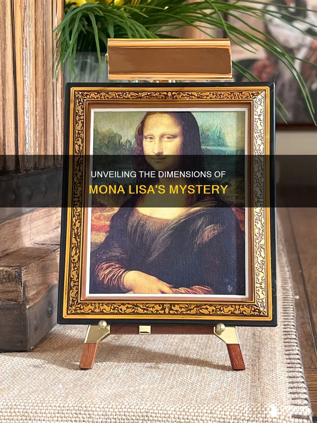 how many dimensions in the famous painting of monalisa