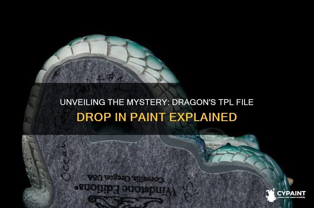 how many dragon drop the tpl file in your paint