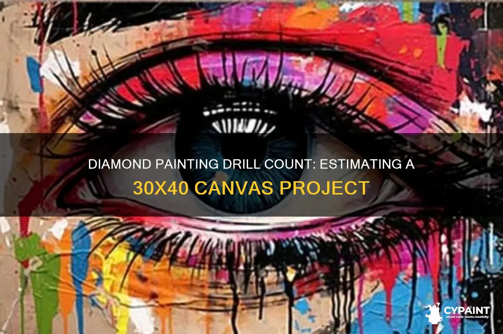 how many drills in a 30x40 diamond painting