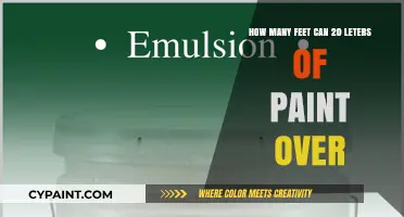 Paint Coverage: 20 Gallons, How Many Feet?