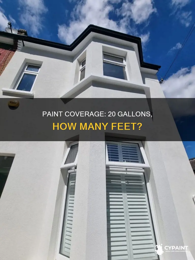 how many feet can 20 leters of paint over