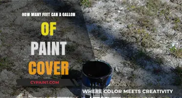 Paint Gallon Coverage: How Many Feet?