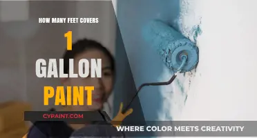 How Much Area Can 1 Gallon of Paint Cover in Feet?