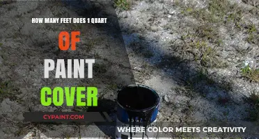 Paint Coverage: Quart of Paint Goes How Far?