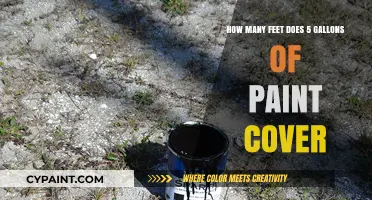 Paint Coverage: 5 Gallons, How Much Area?