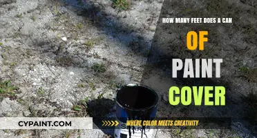 Paint Coverage: How Far Does a Can Go?