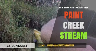 Diverse Fish Species in Paint Creek Stream