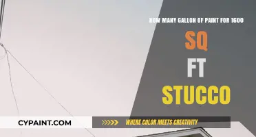 Painting 1600 Sq Ft Stucco: How Many Gallons of Paint Needed?