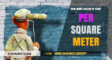 Calculate Paint Coverage: Gallons per Square Meter Explained