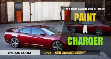 Painting a Charger: Understanding the Gallon Requirements for a Flawless Finish