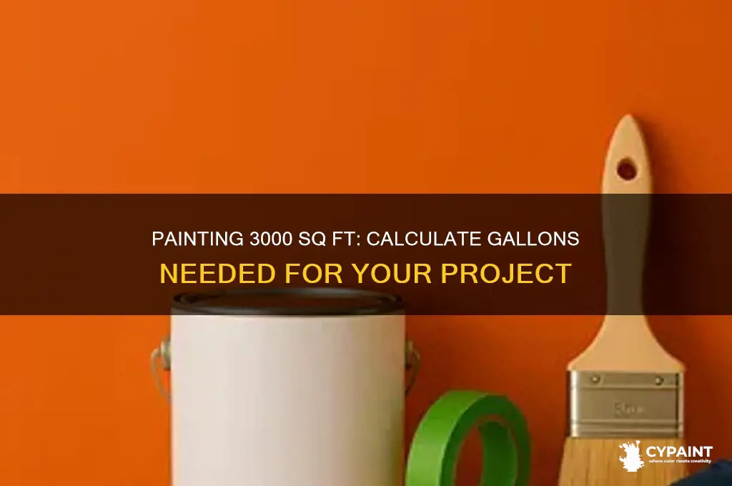 how many gallons of paint 3000sq f