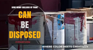 Eco-Friendly Paint Disposal: A Comprehensive Guide