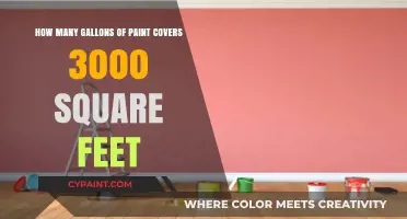 Paint Coverage: Gallons Needed for 3000 Square Feet