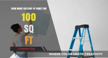 Paint Gallons for 100 Sq Ft: How Many Do You Need?