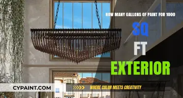 Exterior Painting Guide: Estimating Gallons for 1000 Sq Ft Homes