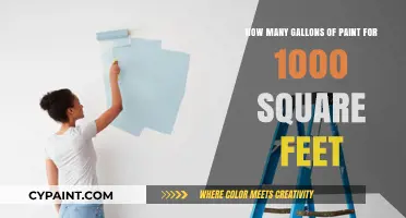 Paint Gallons for 1000 Square Feet: How Many Are Needed?