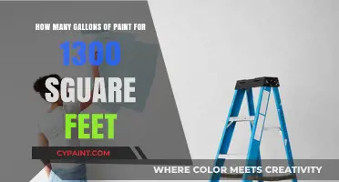 Paint Job: Gallons Required for 1300 Square Feet