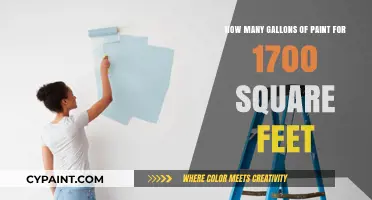 Paint Job: Estimating Gallons for 1700 Square Feet