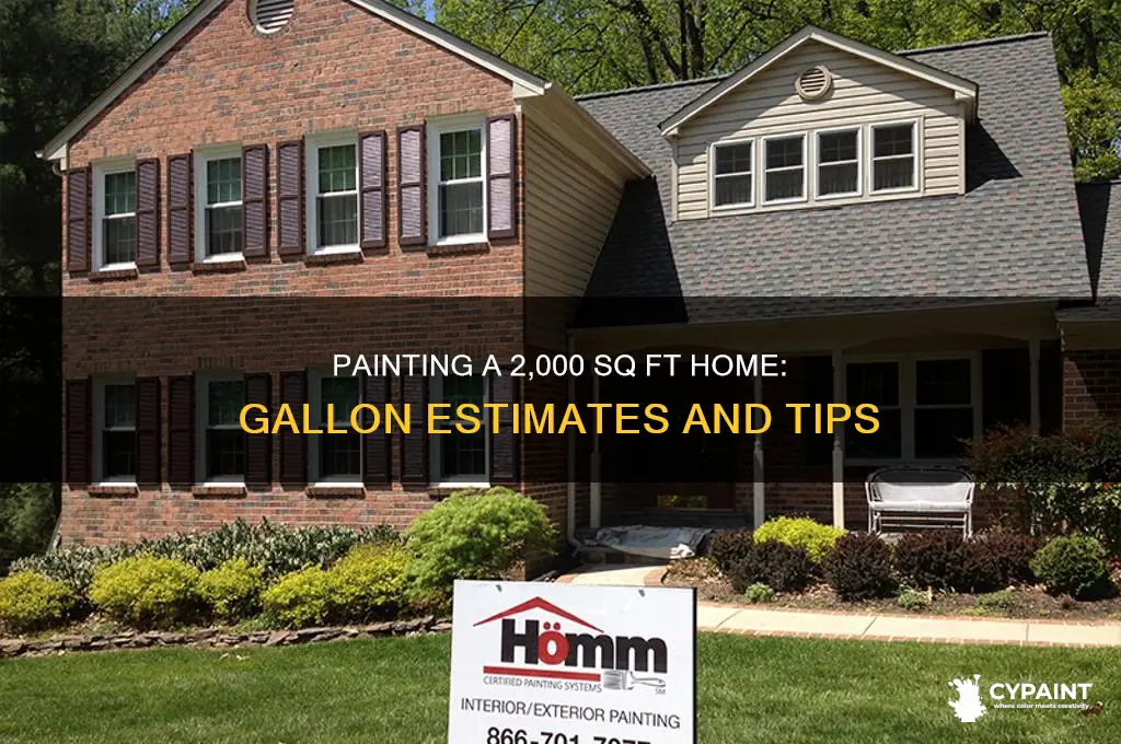 how many gallons of paint for 2 000 sq ft