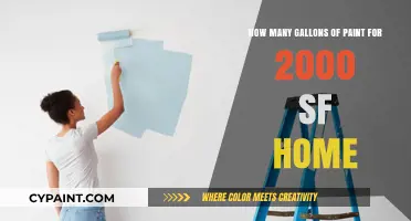 Painting a 2000 Sq. Ft. Home: Gallons of Paint Needed